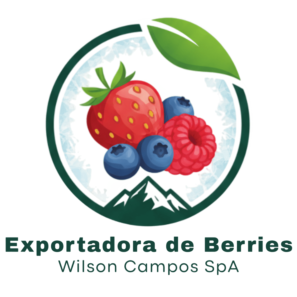 ExportCampos - Frozen food experts
